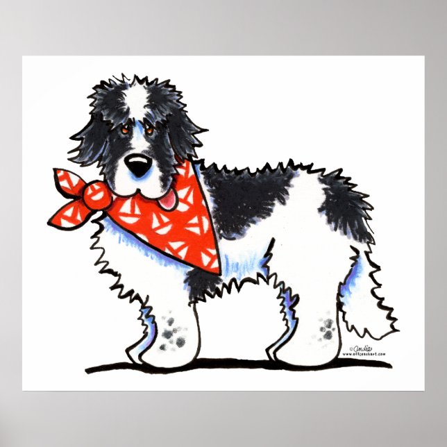 Póster Landeer Newfie Sailor (Frente)