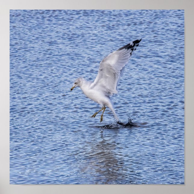 Póster Landing (Frente)