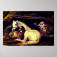 Landseer Los Caballos De Carpas Árabes