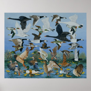 Póster Lanzamiento de 1996