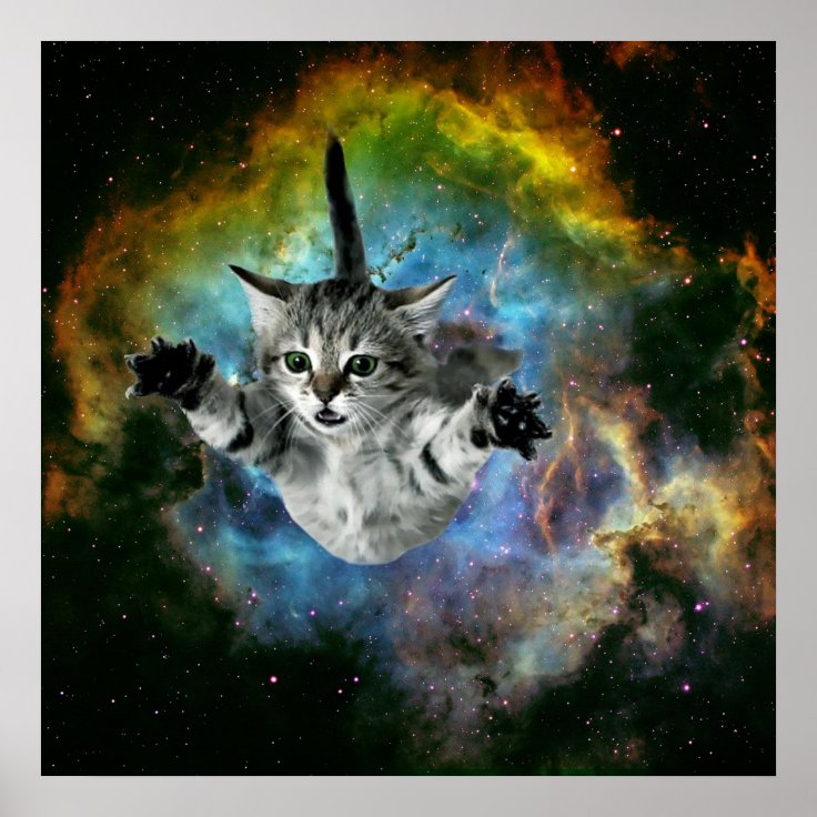 Póster Lanzamiento gatito del universo gato de | Zazzle.es