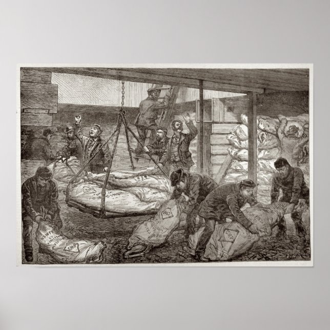 Póster Lanzar carne congelada australiana (Frente)