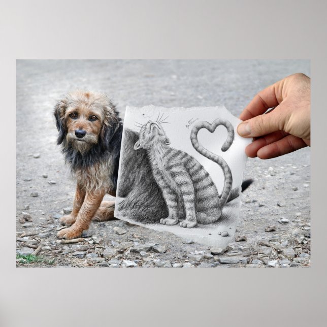 Póster Lápiz contra cámara - Perro y gato (Frente)