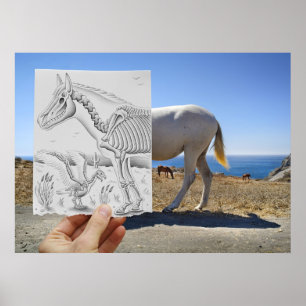 Póster Lápiz contra la cámara - radiografía