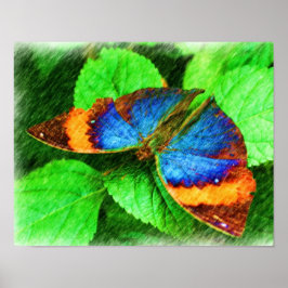 Póster Lápiz natural de mariposa colorido