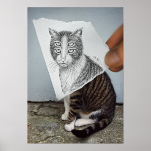Póster Lápiz Vs Cámara - 4 Gatos Ojos