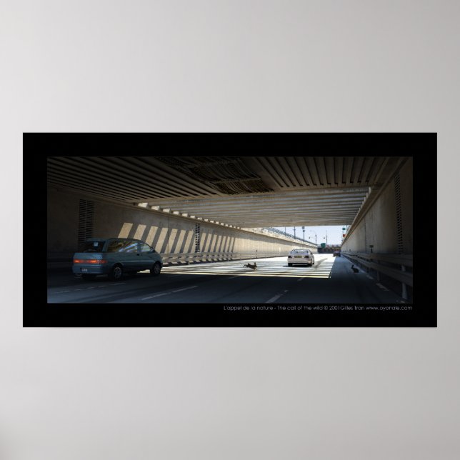 Póster L'appel de la naturaleza - El llamado de lo salvaj (Frente)