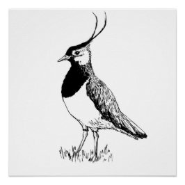 Póster Lapwing Monochrome Print