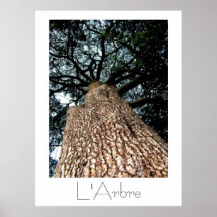 Póster L'Arbre Poster