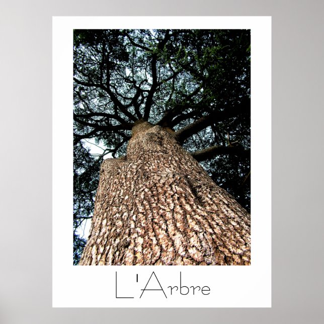 Póster L'Arbre Poster (Frente)