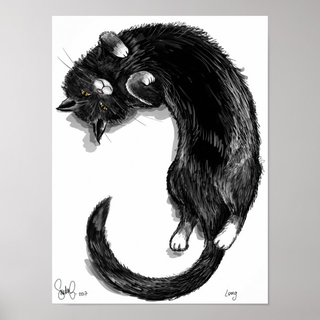 Póster Larga (Frente)