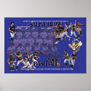 Póster Large 2006 Saline Buzz Poster
