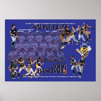 Póster Large 2006 Saline Buzz Poster