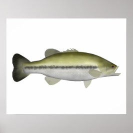 Póster Largemouth Bass