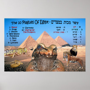 Póster Las 10 Plagas De Egipto - Inglés Y Hebreo