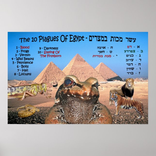 Póster Las 10 Plagas De Egipto - Inglés Y Hebreo (Frente)