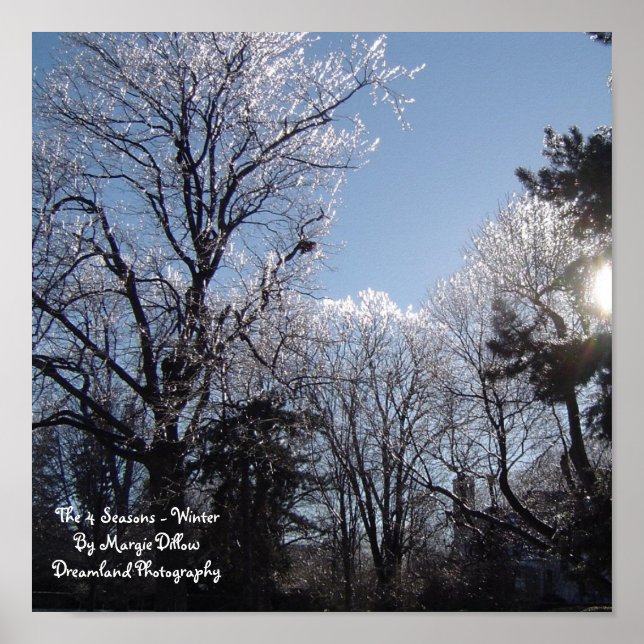 Póster Las 4 estaciones - Poster de invierno (Frente)