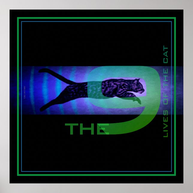 Póster Las 9 vidas del Poster del gato (Frente)