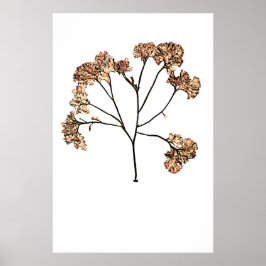 Póster Las algas marinas apretadas de Henry Bradbury Déci