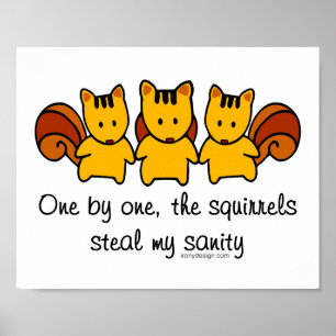 Póster Las ardillas me roban la cordura