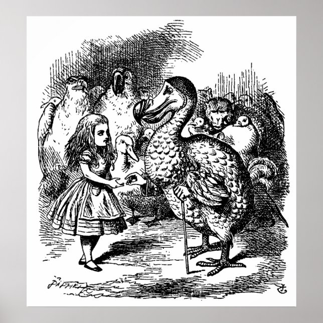 Póster Las aventuras de Alicia en el Ilustracion del país (Frente)