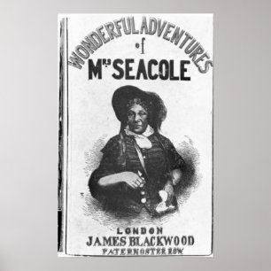 Póster Las aventuras maravillosas de señora Seacole'
