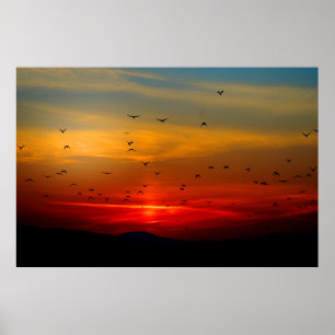 Póster Las aves vuelan al atardecer Poster extra grande