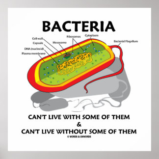 Póster Las bacterias no pueden vivir con algunas de ellas