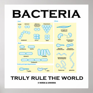 Póster Las bacterias verdaderamente gobiernan el mundo (M