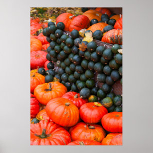 Póster Las calabazas del otoño se cierran