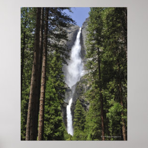 Póster Las cataratas de Yosemite, parque nacional de