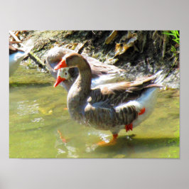 Póster Las cifras son flexibles