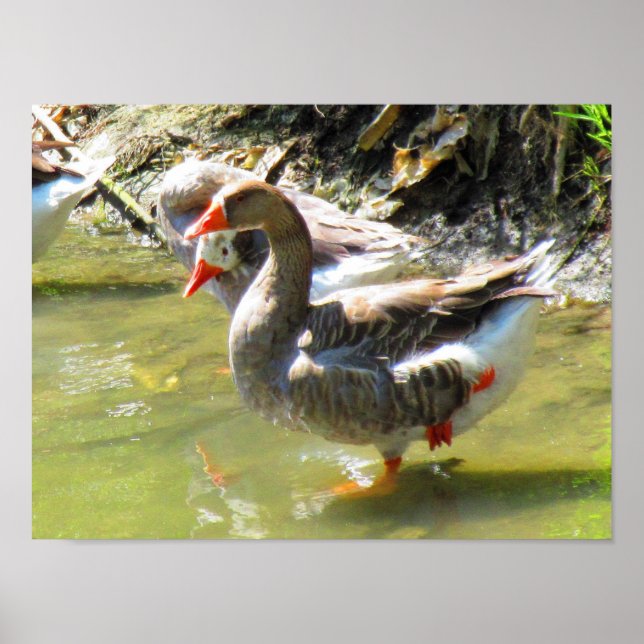 Póster Las cifras son flexibles (Frente)