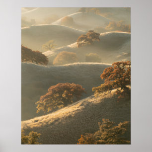 Póster Las Colinas