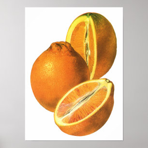 Póster Las comidas del vintage, dan fruto los naranjas