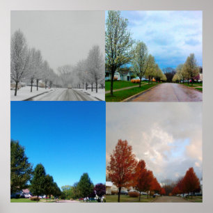 PÓSTER LAS CUATRO TEMPORADAS