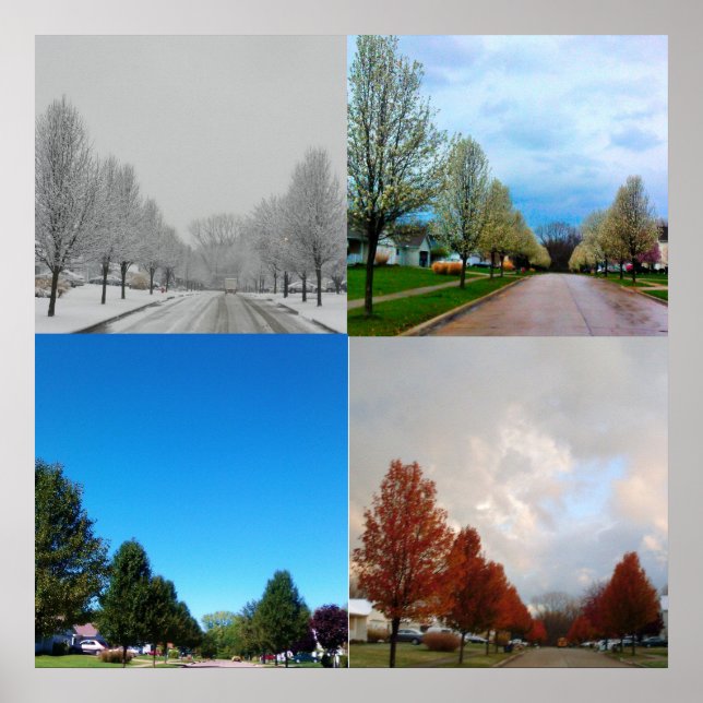 PÓSTER LAS CUATRO TEMPORADAS (Frente)