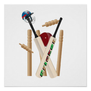 Póster Las Damas Cricket El Allrounder del Juego,