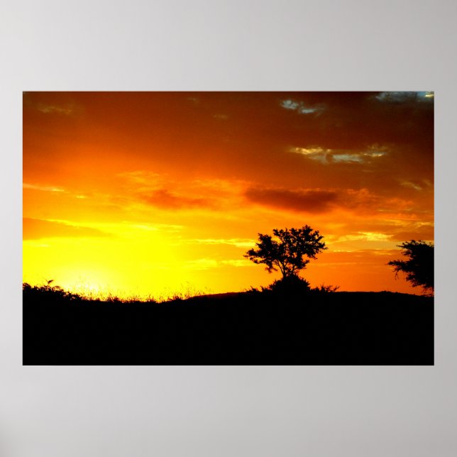 Póster Las dueñas de África (Frente)