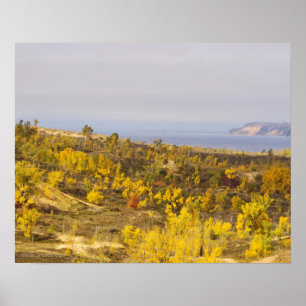 PÓSTER "LAS DUNAS DE OSO DORMIDO SE AGOTAN CON VEGETACIÓN