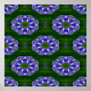 Póster Las estrellas de Lily pad......
