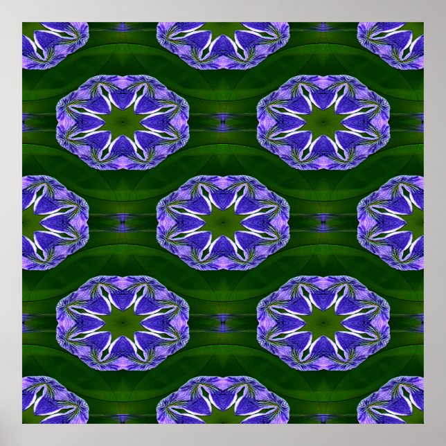 Póster Las estrellas de Lily pad...... (Frente)