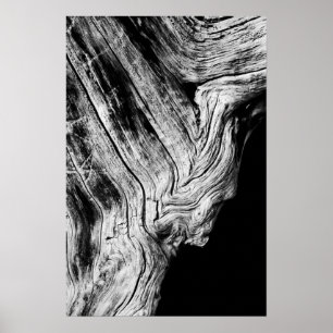 Póster las estrellas dicen que