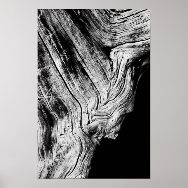 Póster las estrellas dicen que (Frente)