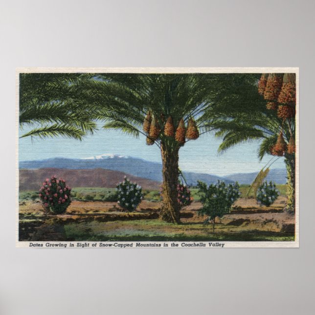 Póster Las fechas de crecimiento en California en Coachel (Frente)