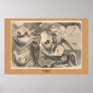 Póster Las golosinas del precipicio