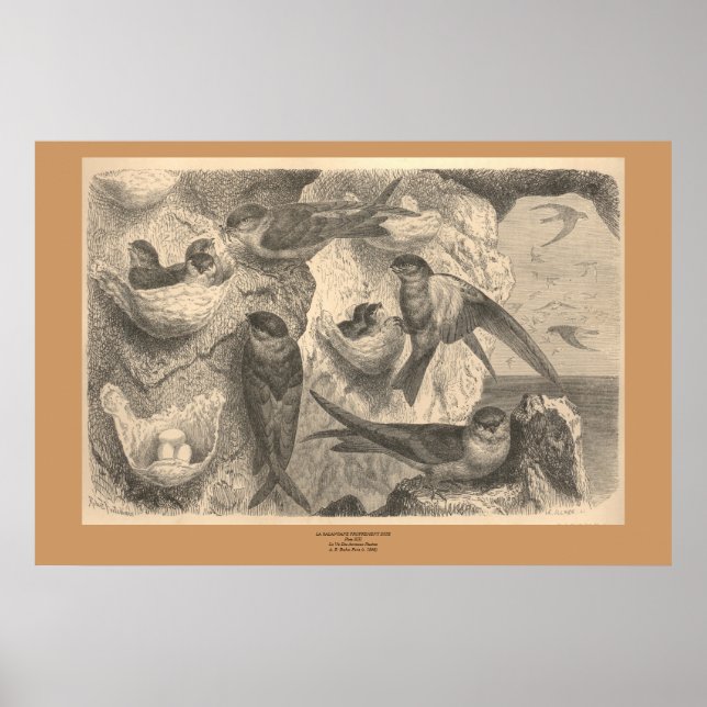 Póster Las golosinas del precipicio (Frente)