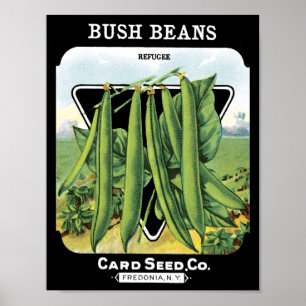 Póster Las habas de Bush cardan el vintage Fredonia del