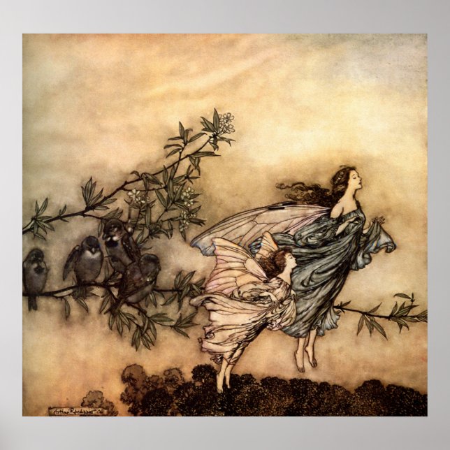 Póster Las hadas tienen sus fisuras con las aves (Frente)