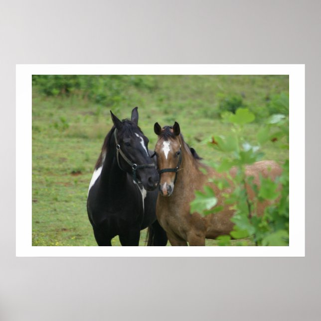 Póster Las hermanas aman (Frente)